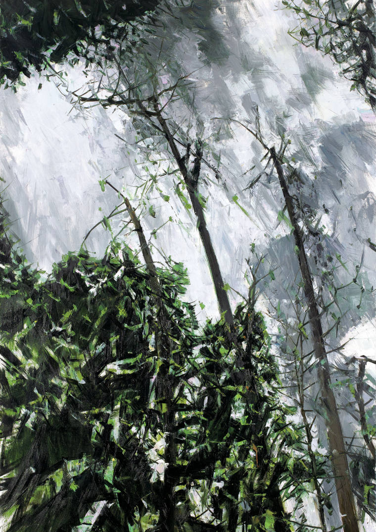 《奇木攀天》油画 73cm×50cm 2021