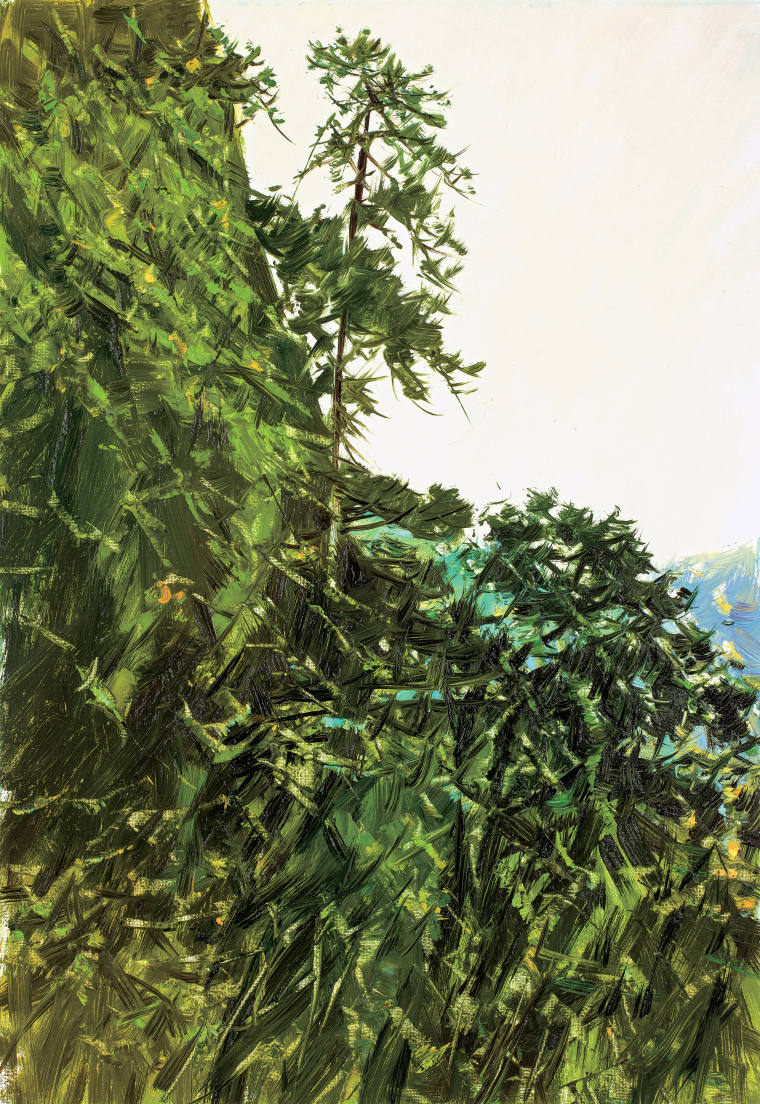 《石壁奇松》油画 73cm×50cm 2021